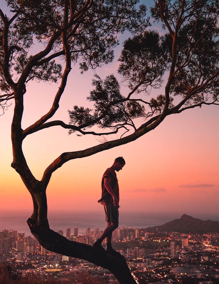 our-story Silhouetted man on a tree at sunset with a panoramic view of Honolulu cityscape in the background.